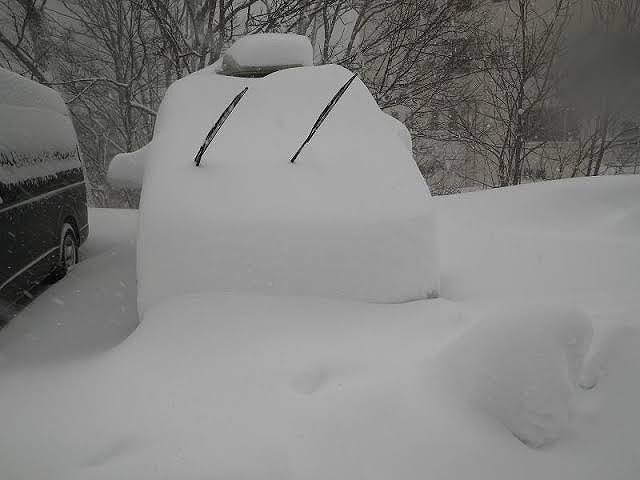 新潟　大雪